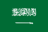 DTL/DL Disposable Vape POD Shisha Saudi Arabic