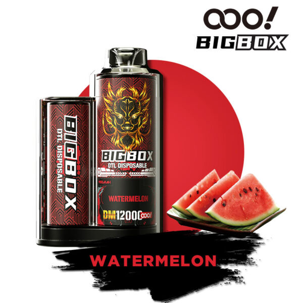 OOO! BIGBOX DTL/DL sigaretta elettronica Usa e Getta Vape POD 12000 Tiri Puff 25ml flusso d'aria regolabile e ricaricabile